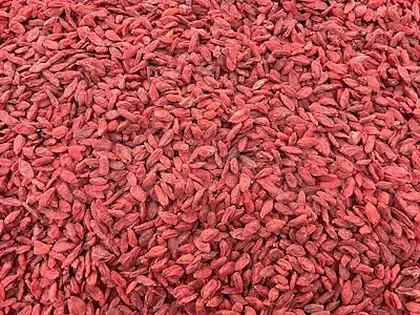 Goji Berry ingredient